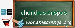 WordMeaning blackboard for chondrus crispus